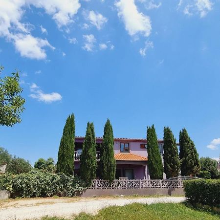 Apartmani Nika Bibinje Exterior foto
