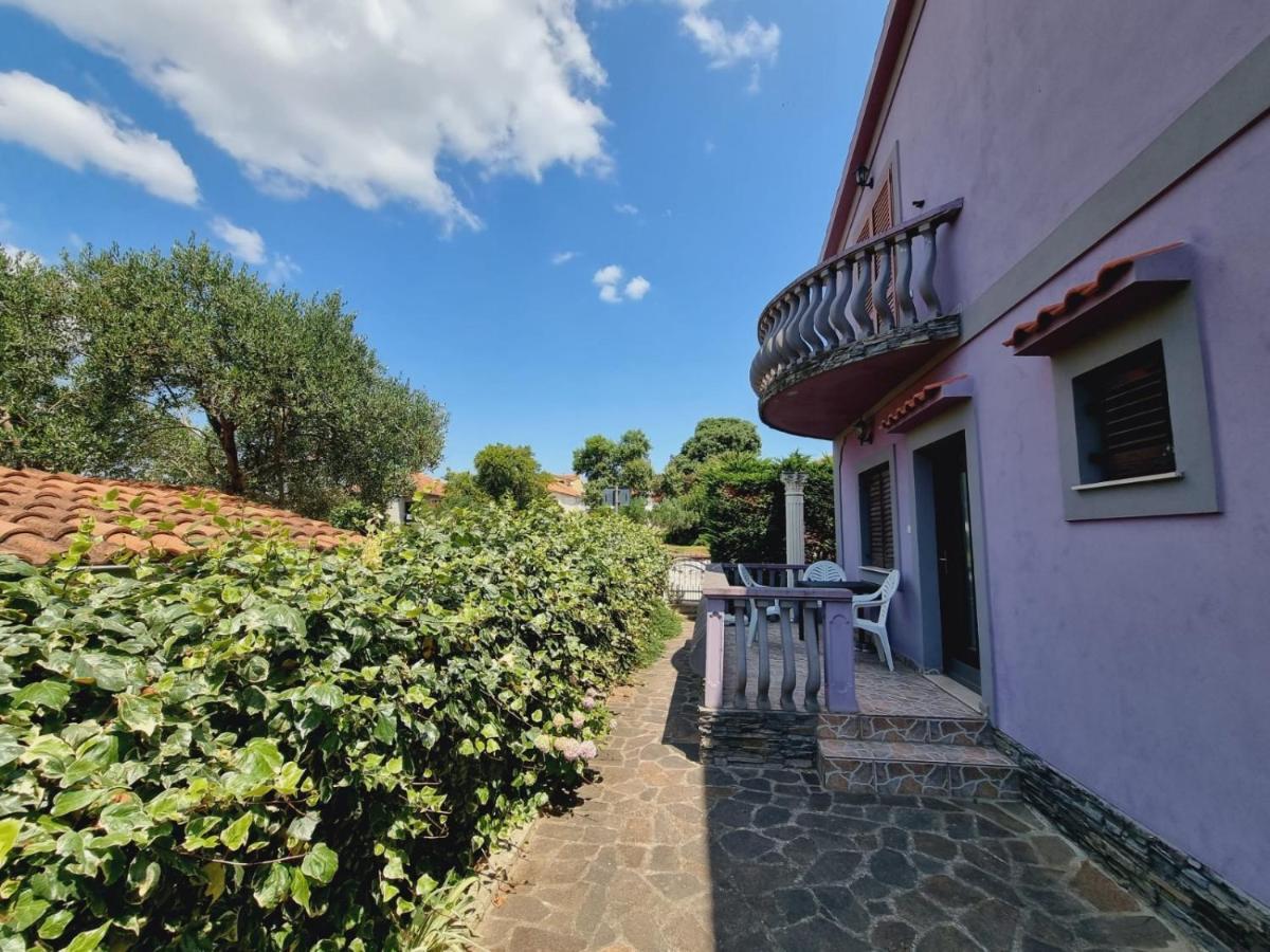Apartmani Nika Bibinje Exterior foto