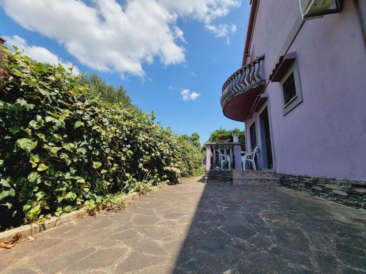 Apartmani Nika Bibinje Exterior foto